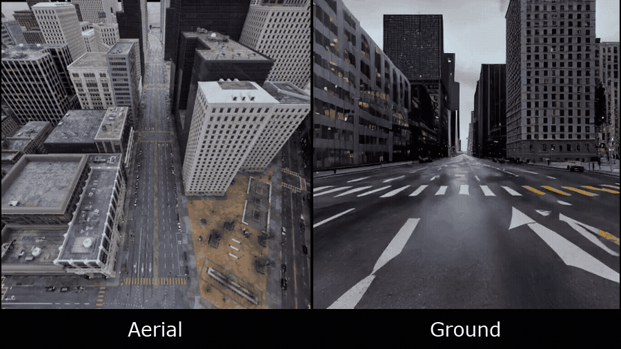 Skyeyes: Ground Roaming using Aerial View Images