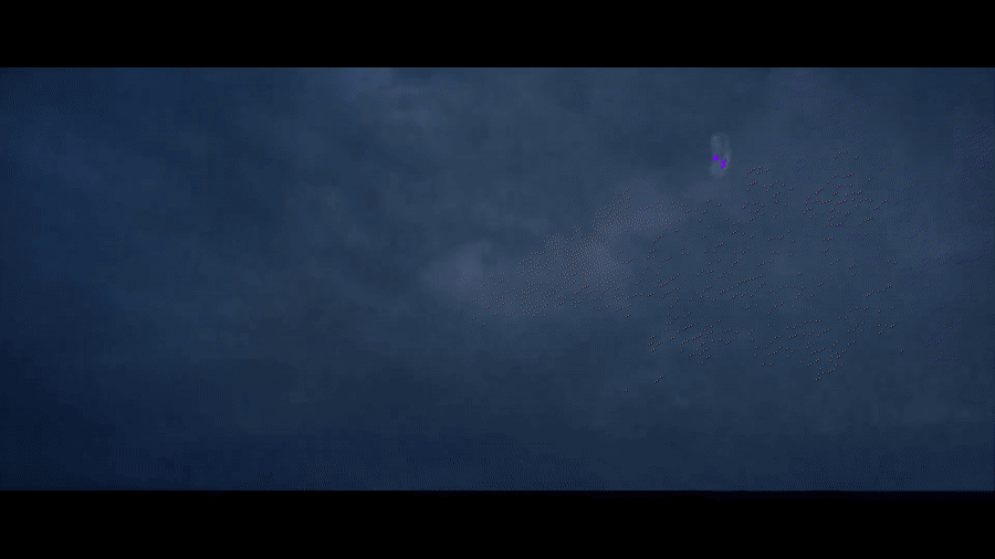 Seeing the Wind from a Falling Leaf